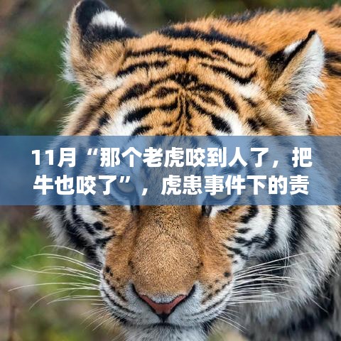 虎患事件下的責(zé)任與反思，動(dòng)物保護(hù)與人居安全的平衡探討
