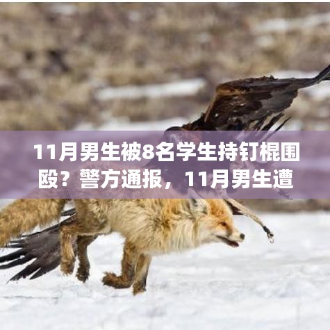 警方通報(bào)，11月男生遭學(xué)生持釘棍圍毆事件深度解析與解讀