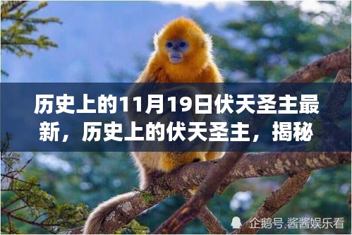 揭秘歷史上的伏天圣主，神秘事件與重大時刻的交織最新資訊（最新篇）