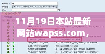 初學(xué)者與進階用戶必看，最新網(wǎng)站wapss.com使用指南全攻略