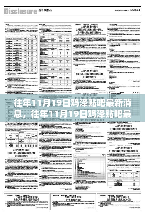 往年11月19日雞澤貼吧最新消息全掌握，獲取攻略與詳解