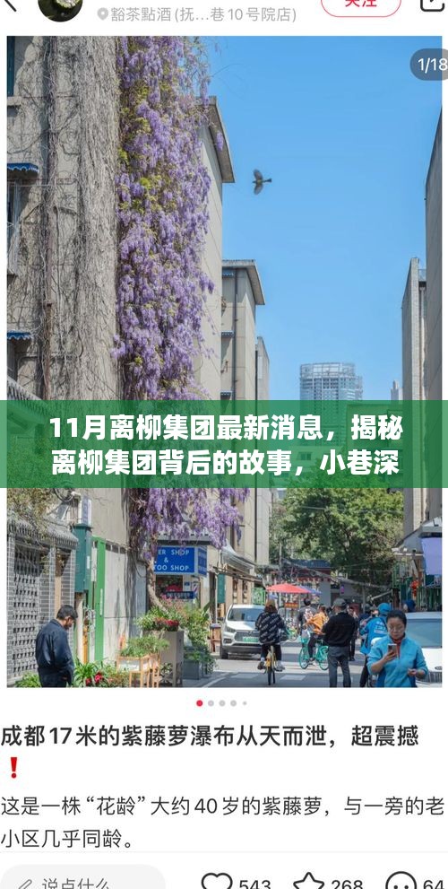 離柳集團(tuán)最新揭秘，小巷深處的獨(dú)特風(fēng)味小店十一月探訪之旅