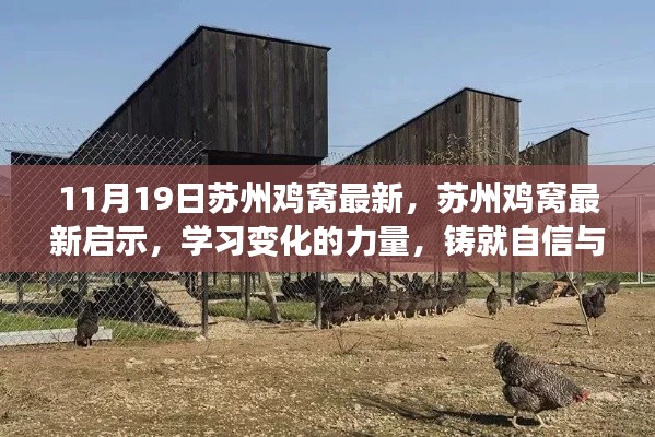 蘇州雞窩最新啟示，學(xué)習(xí)變化的力量，鑄就自信與成就之路