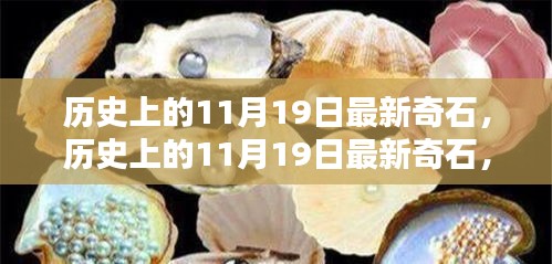 歷史上的11月19日，最新奇石的獨(dú)特魅力與深度解析