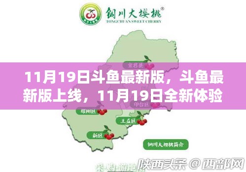 斗魚最新版上線，全新體驗(yàn)來襲，11月19日獨(dú)家呈現(xiàn)！