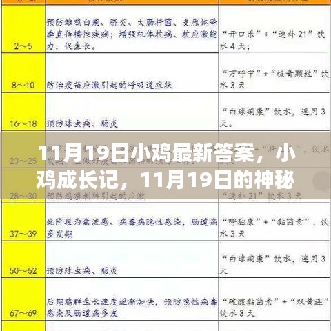 聯(lián)系我們 第878頁