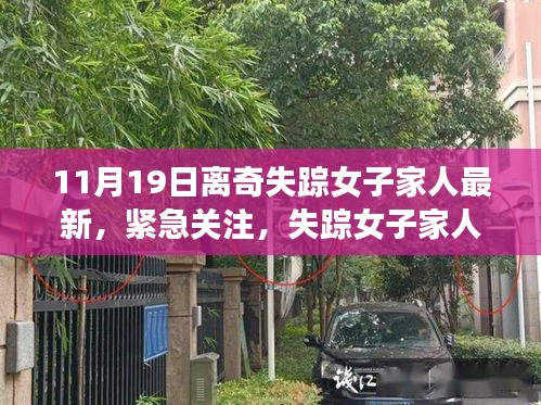 失蹤女子最新動(dòng)態(tài)揭秘，家人緊急關(guān)注，11月離奇失蹤案件真相探尋