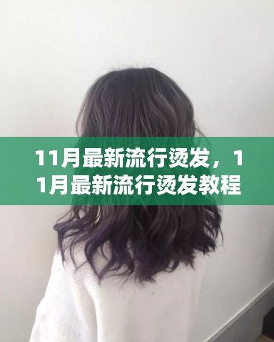 11月最新流行燙發(fā)教程，輕松打造魅力卷發(fā)造型