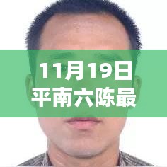 平南六陳最新動態(tài)報道，聚焦要聞，揭秘11月19日最新消息