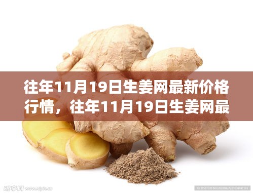 往年11月19日生姜網(wǎng)價格行情深度解析與介紹