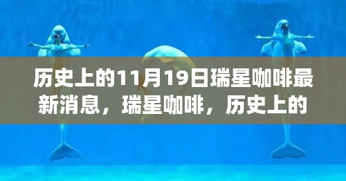 瑞星咖啡歷史上的11月19日，回望與最新消息的影響