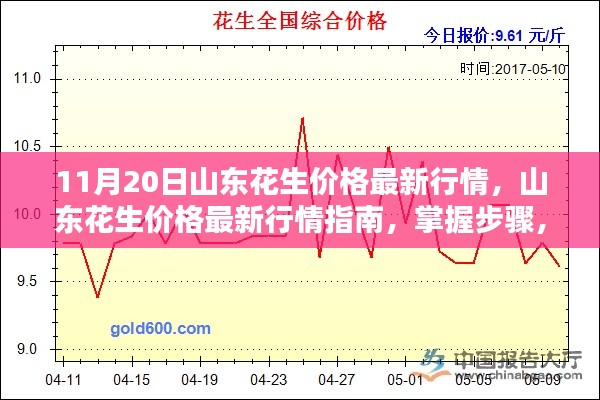 山東花生最新行情解析，掌握價(jià)格走勢(shì)，洞悉市場(chǎng)動(dòng)態(tài)（11月20日）
