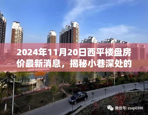 揭秘繁華西平樓盤(pán)背后的神秘小店與最新房?jī)r(jià)動(dòng)態(tài)，2024年西平房產(chǎn)最新消息及小巷風(fēng)情探索