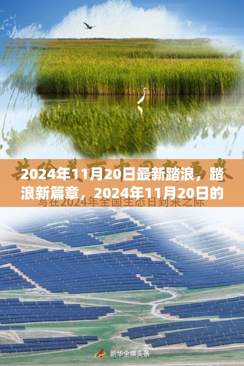 2024年11月20日踏浪新篇章，心靈與自然之旅