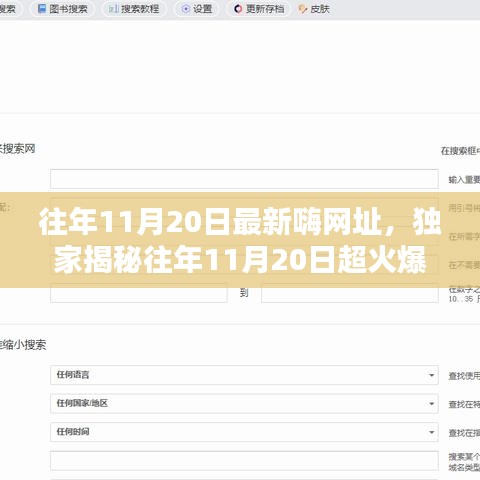 獨家揭秘，往年11月20日超火爆嗨網(wǎng)址大放送，嗨不停歇的狂歡盛宴！
