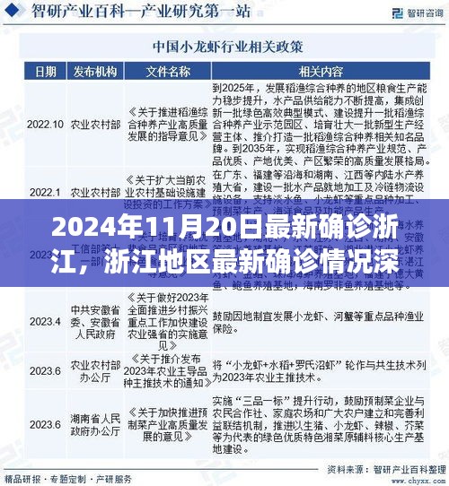浙江最新確診深度解析，挑戰(zhàn)與機遇并存——浙江地區(qū)疫情報告（2024年11月20日）
