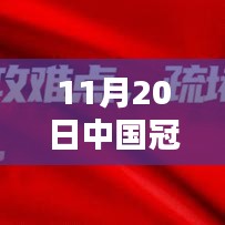 中國(guó)冠狀病毒最新?tīng)顟B(tài)深度解析（截至日期，11月20日）