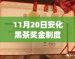 剛毅木訥 第8頁(yè)