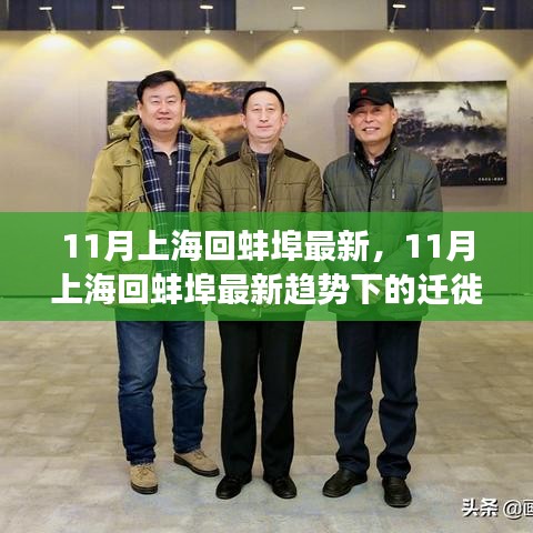 11月上?；匕霾鹤钚纶厔?shì)觀察與遷徙個(gè)人觀點(diǎn)分享