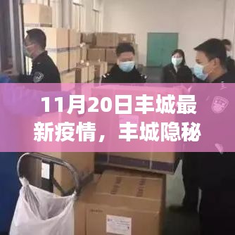 豐城隱秘小巷，疫情下的獨特風(fēng)味探秘——最新疫情觀察報告（11月20日）