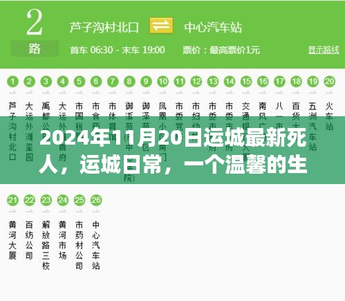 溫馨告別，友情長(zhǎng)存——運(yùn)城日常的生命告別故事（2024年11月20日最新）