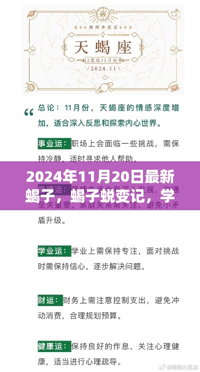 蝎子蛻變之旅，學(xué)習(xí)變化中的自信與成就感探尋（2024年11月20日最新）
