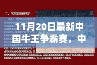 中國(guó)牛王爭(zhēng)霸賽深度探討，某某觀點(diǎn)解析與對(duì)決