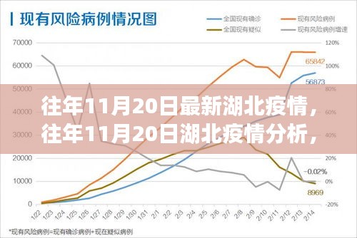 往年11月20日湖北疫情深度分析與解讀，最新數(shù)據(jù)、觀點(diǎn)闡述及趨勢(shì)預(yù)測(cè)