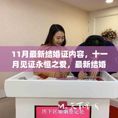 十一月見(jiàn)證永恒之愛(ài)，最新結(jié)婚證內(nèi)容深度解析