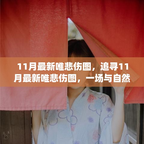 11月最新唯悲傷圖，與自然共舞的心靈治愈之旅