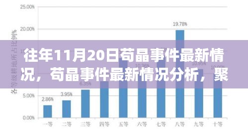 茍晶事件最新動態(tài)與觀點(diǎn)聚焦，最新情況分析與聚焦某某觀點(diǎn)