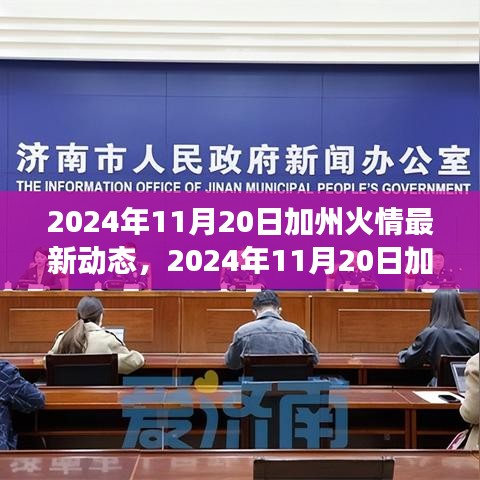 深度解析與個(gè)人立場下的加州火情最新動態(tài)，多方觀點(diǎn)探討，2024年11月20日