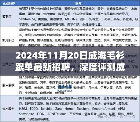 威海毛衫跟單最新招聘深度解析，特性、用戶(hù)體驗(yàn)與目標(biāo)受眾分析