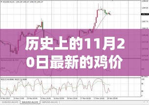 歷史上的雞價走勢，揭秘11月20日的雞價走勢分析