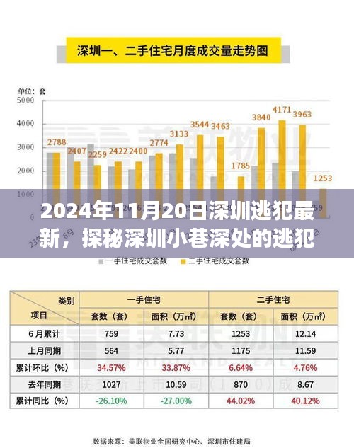 探秘深圳小巷深處的逃犯新去處，特色小店背后的故事（2024年11月20日深圳逃犯最新）