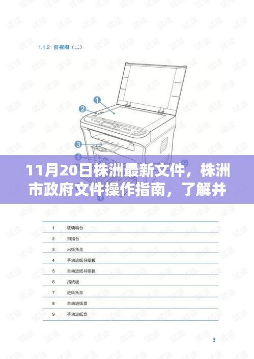 株洲市政府文件操作指南，解讀最新文件，適合初學者與進階用戶了解遵循（11月20日版）