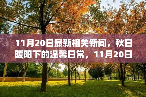 秋日暖陽(yáng)下的新聞趣事與友情傳遞——最新相關(guān)新聞播報(bào)