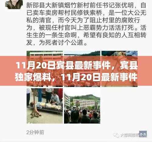 賓縣獨(dú)家爆料，11月20日最新事件全解析，小紅書直擊現(xiàn)場！