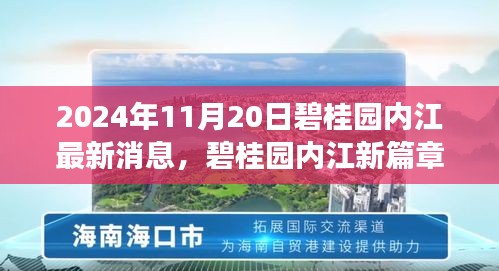 碧桂園內(nèi)江最新動(dòng)態(tài)，美好時(shí)光溫馨傳遞，愛(ài)在朋友間的日常篇章（2024年11月20日）
