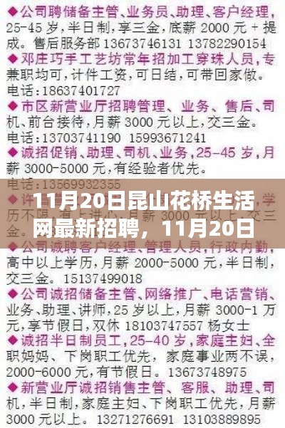 11月20日昆山花橋生活網(wǎng)最新招聘求職攻略，成功應(yīng)聘全解析