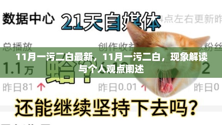 11月一污二白現(xiàn)象解讀與個(gè)人觀點(diǎn)闡述，最新觀察與闡述