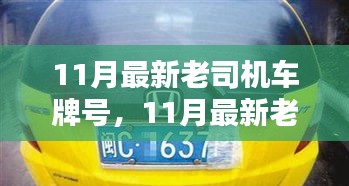 飛揚(yáng)撥扈 第6頁(yè)