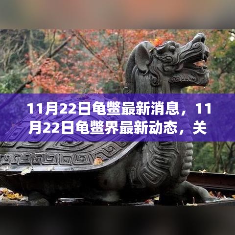 11月22日龜鱉界最新動態(tài)，生態(tài)健康與保護進展關(guān)注焦點