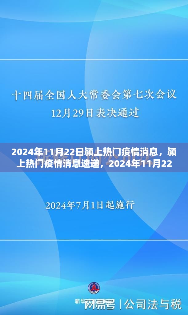 2024年11月22日潁上熱門(mén)疫情消息速遞