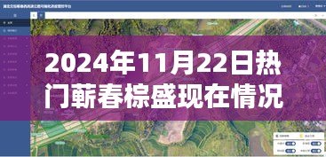 蘄春棕盛2024年11月22日現(xiàn)狀揭秘，日常溫馨與奇遇