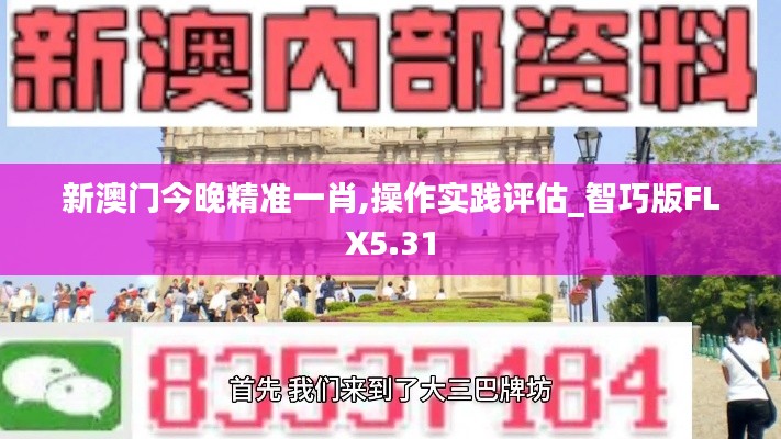 新澳門今晚精準(zhǔn)一肖,操作實(shí)踐評(píng)估_智巧版FLX5.31