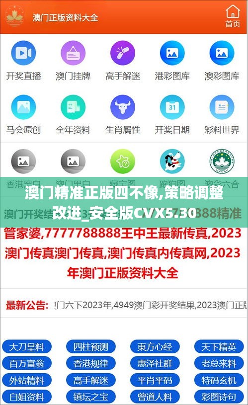 澳門精準正版四不像,策略調(diào)整改進_安全版CVX5.30