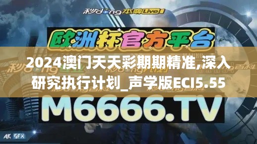2024澳門天天彩期期精準(zhǔn),深入研究執(zhí)行計(jì)劃_聲學(xué)版ECI5.55