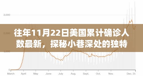 美國累計(jì)確診人數(shù)背后的故事，探秘獨(dú)特小店與驚喜發(fā)現(xiàn)