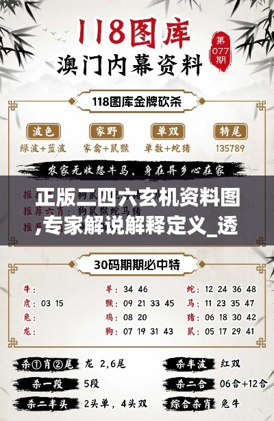 正版二四六玄機資料圖,專家解說解釋定義_透明版MYA5.84